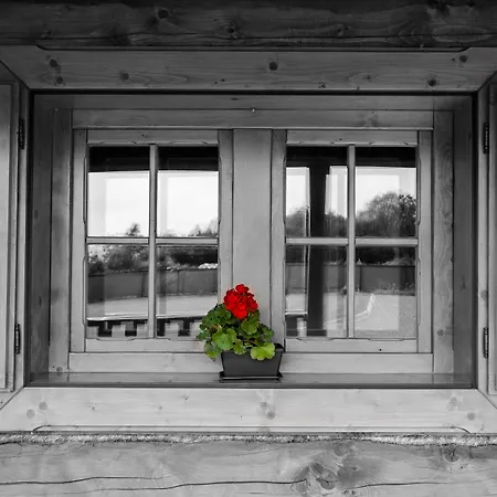 Drevenice Trimount *