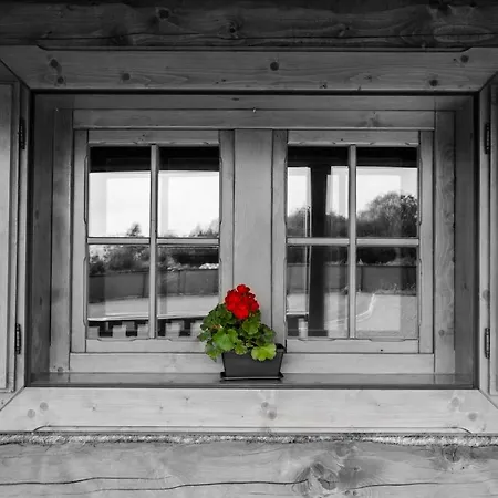 Drevenice Trimount Liptovský Mikuláš